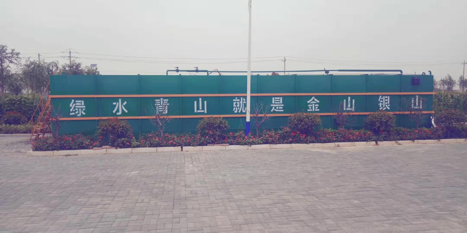 1704766516316442.jpg
